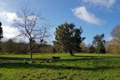 arboretum-042f3c