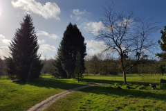 arboretum-052f3c