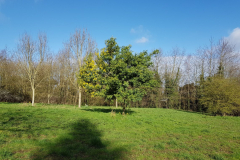 arboretum-062f3c