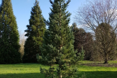 arboretum-072f3c
