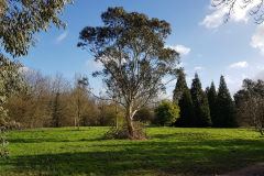 arboretum-092f3c