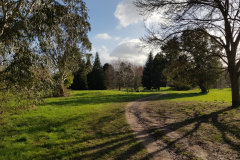 arboretum-102f3c