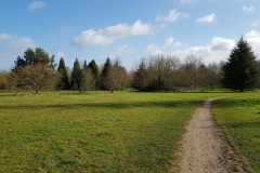 arboretum-132f3c