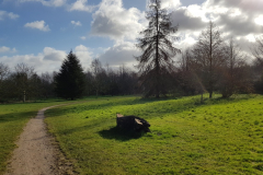 arboretum-142f3c