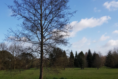 arboretum-152f3c