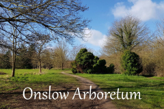 arboretum-cover